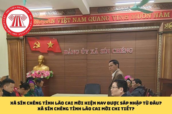 Pháp luật