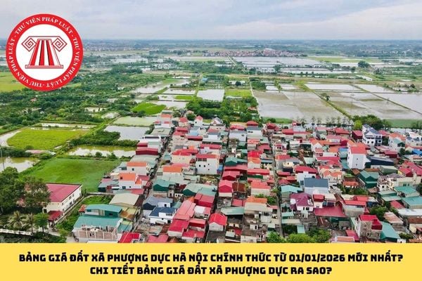 Pháp luật