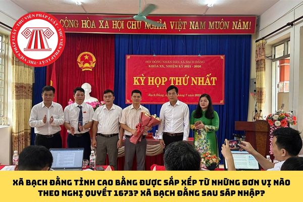 Pháp luật