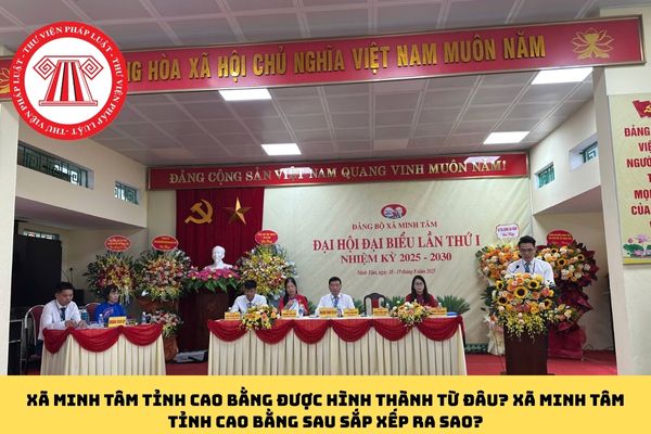 Pháp luật