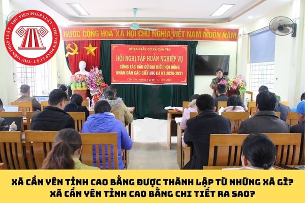 Pháp luật