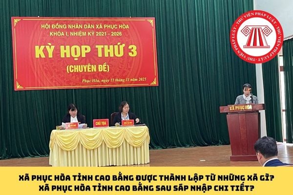 Pháp luật