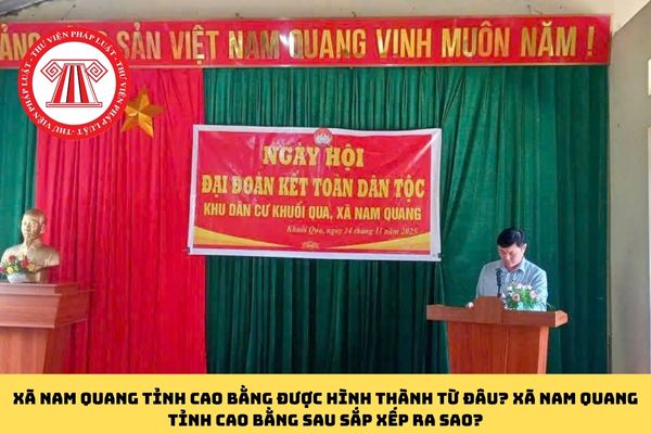 Pháp luật