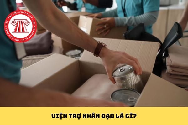 Pháp luật