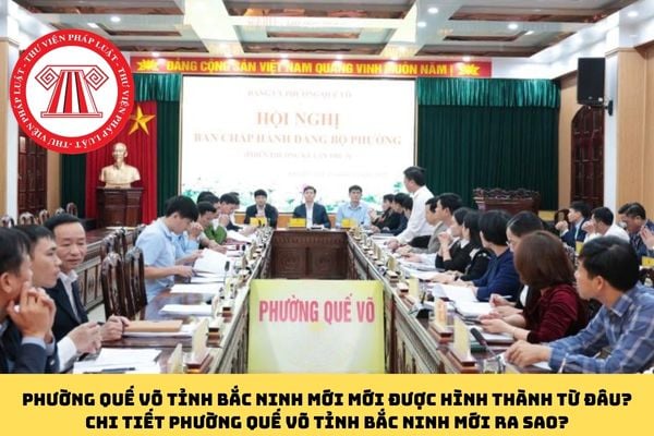 Pháp luật