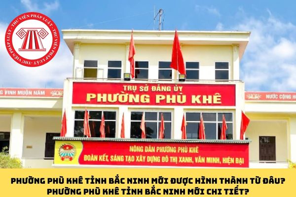 Pháp luật