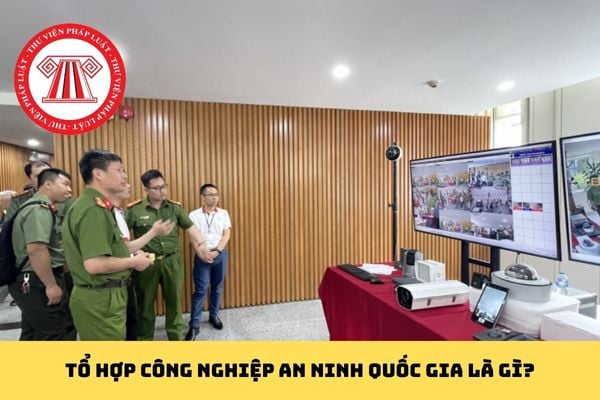 Pháp luật