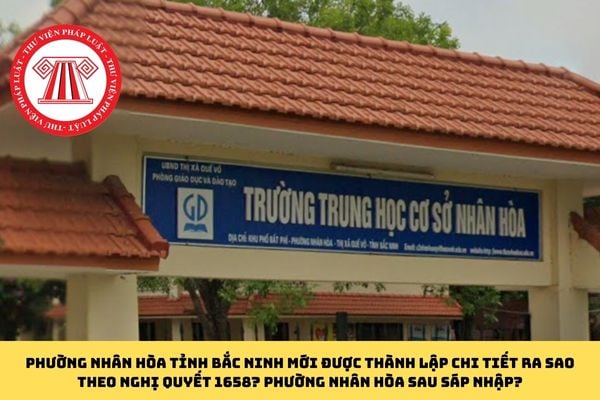 Pháp luật