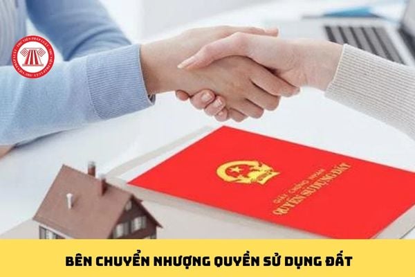 Pháp luật