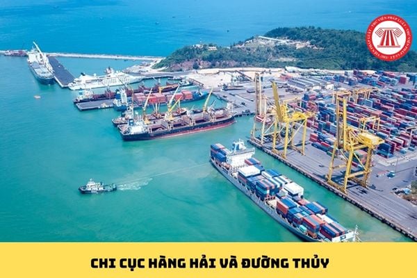 Pháp luật