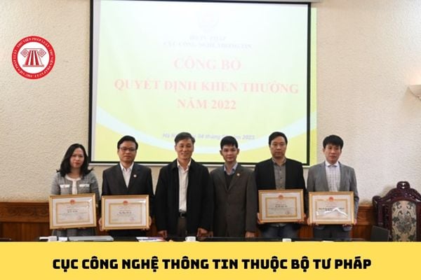 Pháp luật
