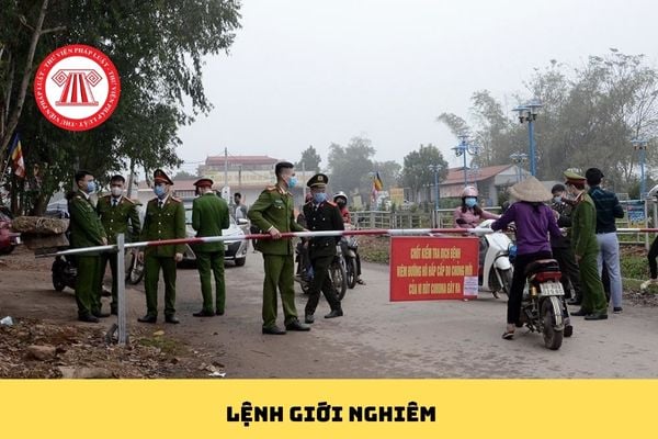 Pháp luật