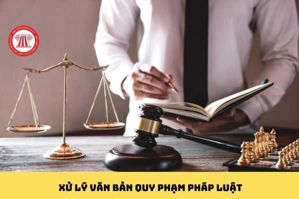 Pháp luật