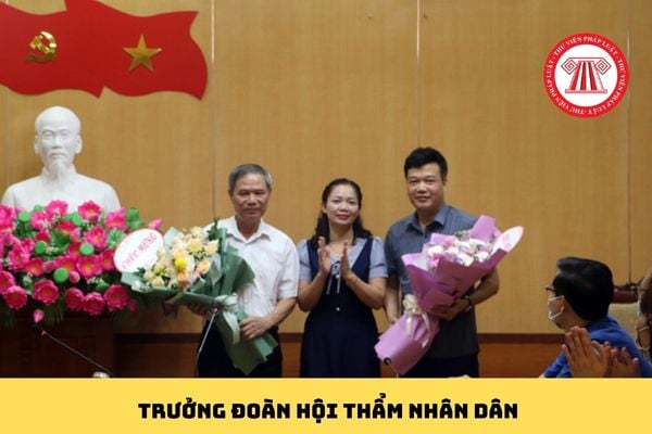Pháp luật