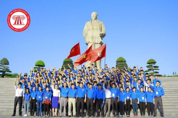 Pháp luật