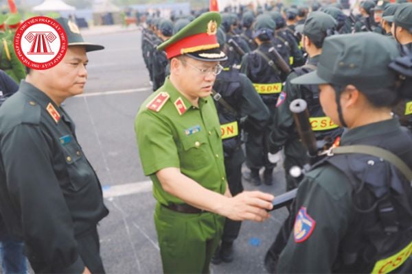 Pháp luật