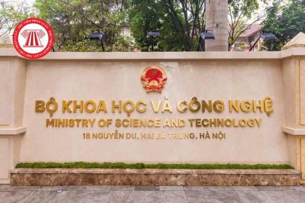 Pháp luật