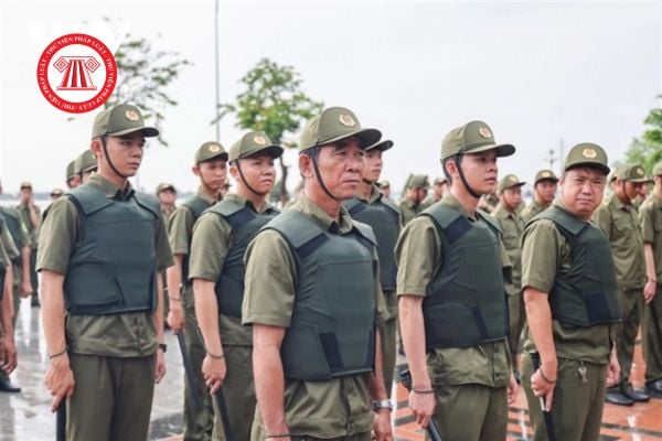 Pháp luật