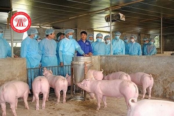 Cơ sở khảo nghiệm giống vật nuôi phải có nhân viên kỹ thuật có trình độ từ đại học trở lên về chuyên ngành nào?