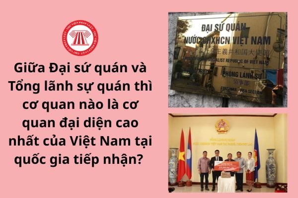 Pháp luật