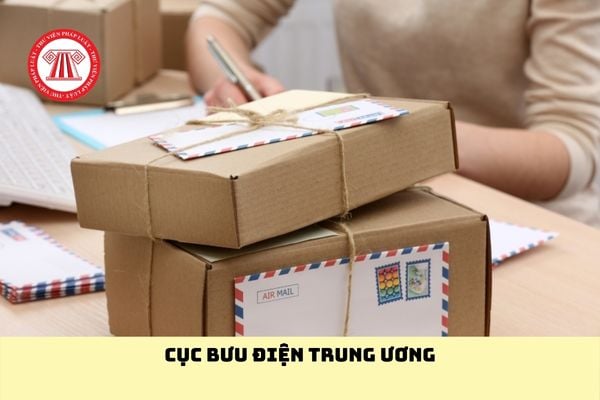Pháp luật