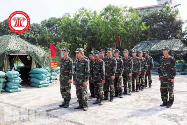Pháp luật