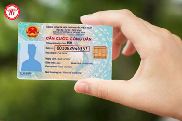 Pháp luật