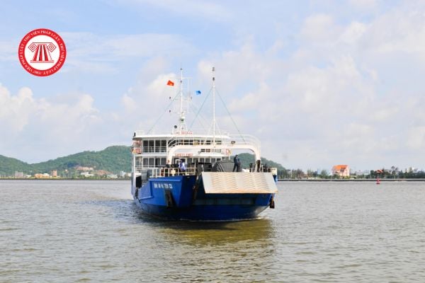 Pháp luật