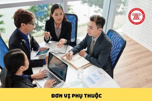 Pháp luật