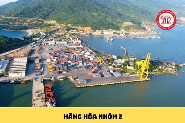 Pháp luật