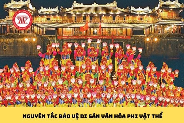 Pháp luật