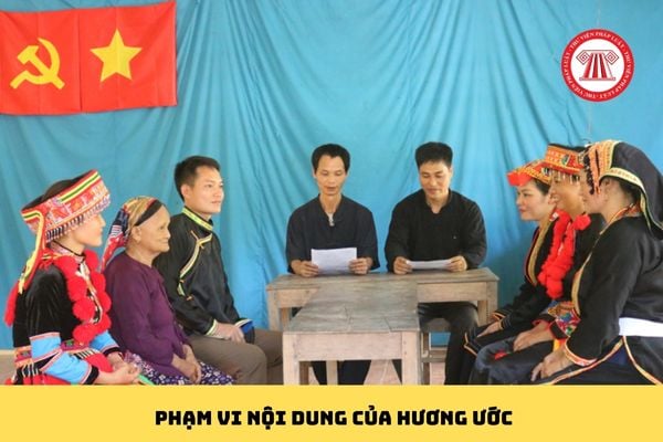 Pháp luật