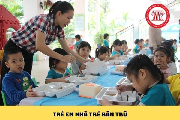 Pháp luật