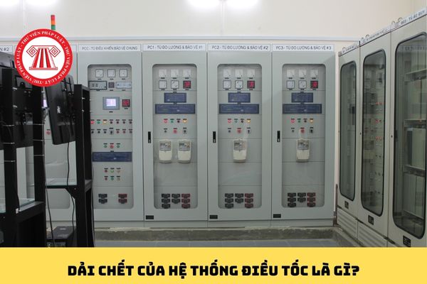 Pháp luật