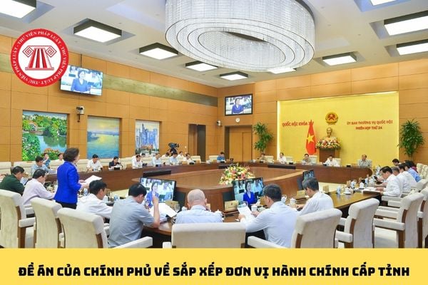Pháp luật