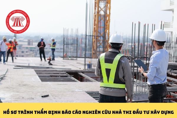 Pháp luật