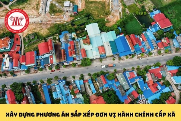 Pháp luật