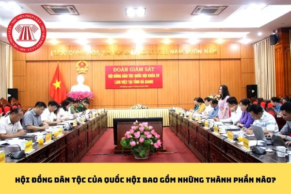 Pháp luật