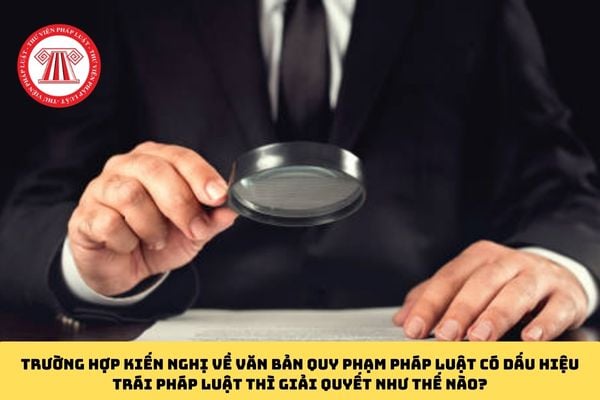Pháp luật