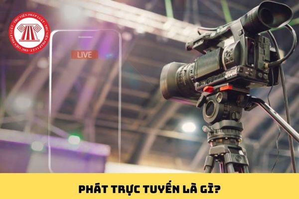 Pháp luật