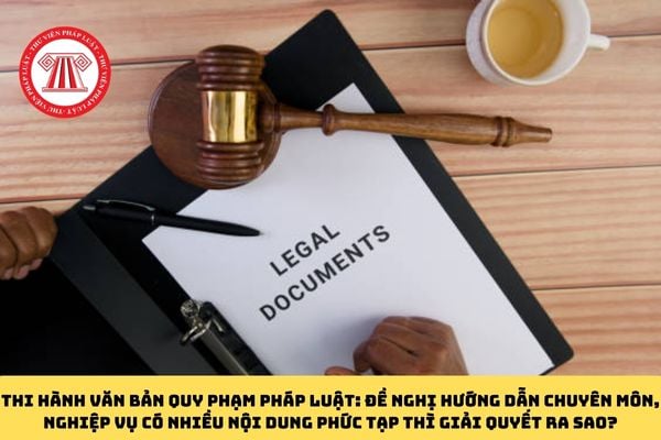 Pháp luật