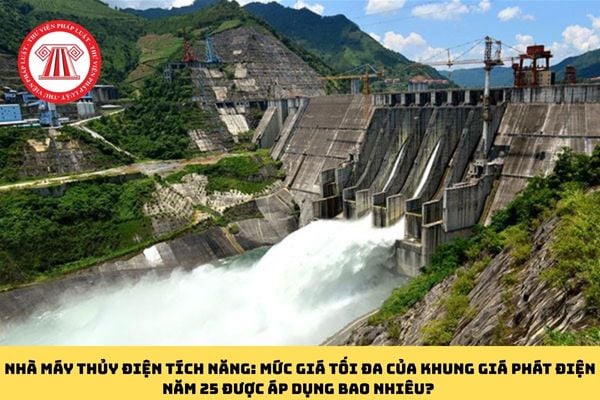 Pháp luật