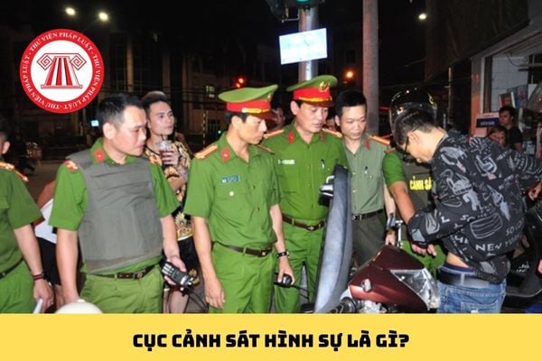 Pháp luật