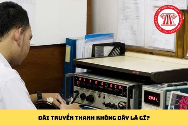 Pháp luật