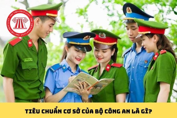 Pháp luật