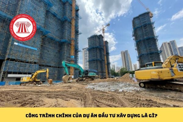 Pháp luật