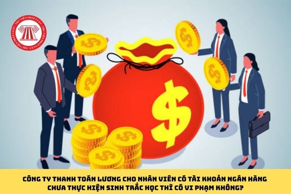 Pháp luật