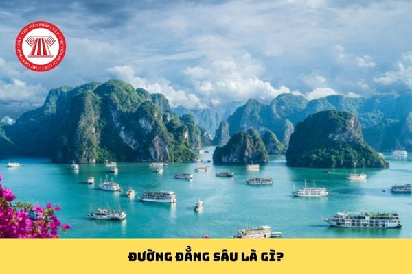 Pháp luật