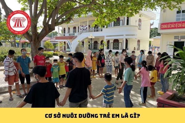 Pháp luật