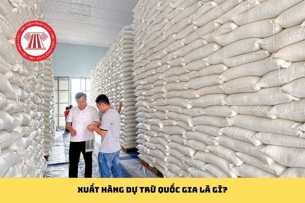 Pháp luật